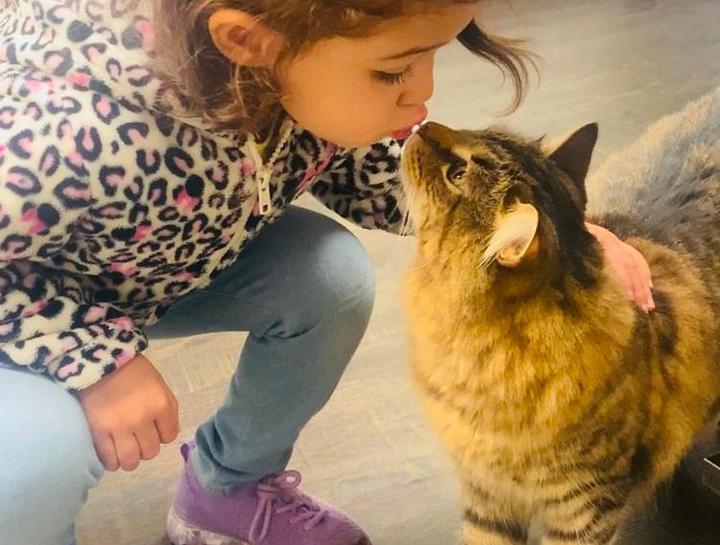 Preventive Care for Cats