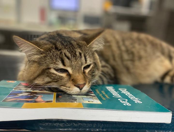 Education and training programs