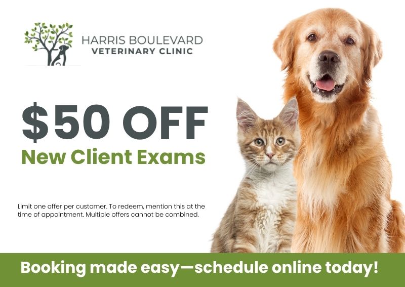 Carousel Slide 1: NEW CLIENT SPECIAL