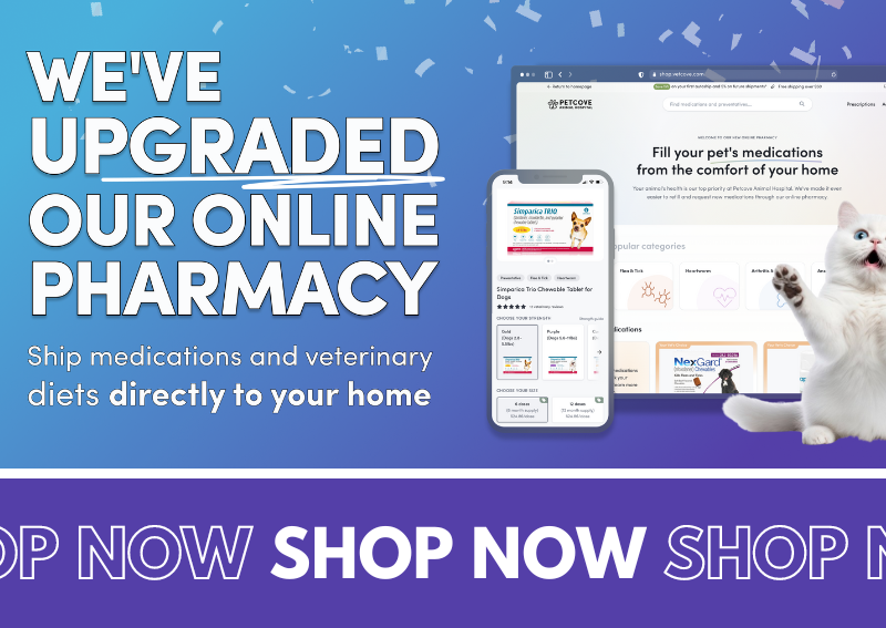 Carousel Slide 10: Online-Pharmacy